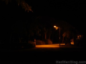 Valencia Park at Night